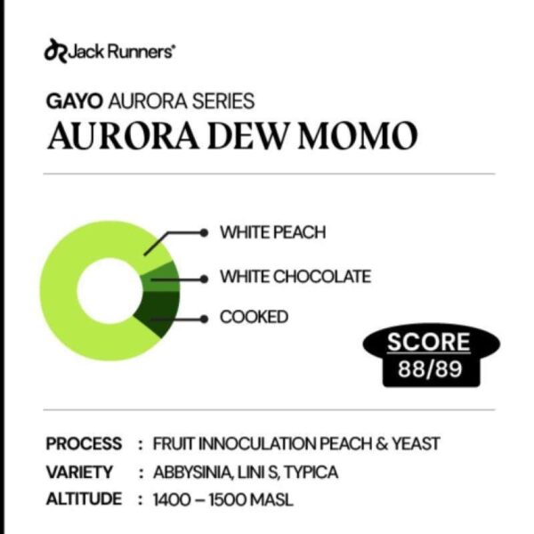 Coffee Drip Bag Filter - Jack Runner Roastery Gayo Aurora Series Momo