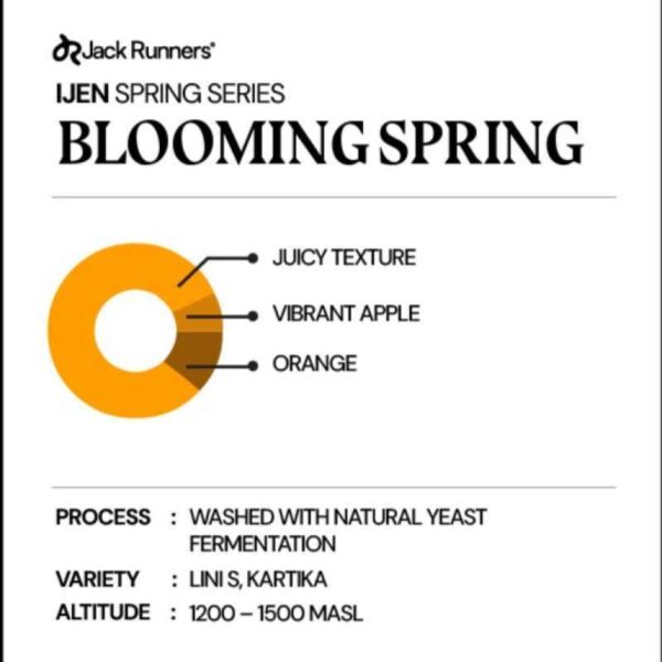 brd-129695_coffee-drip-bag-filter-jack-runner-roastery-ijen-series-blooming-spring_full03-690ea310 Coffee Drip Bag Filter - Jack Runner Roastery Ijen Series Blooming Spring
