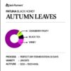 brd-129695_coffee-drip-bag-filter-jack-runner-roastery-patuha-series-autumn-leaves_full03-85883783 Coffee Drip Bag Filter - Jack Runner Roastery Patuha Series Autumn Leaves