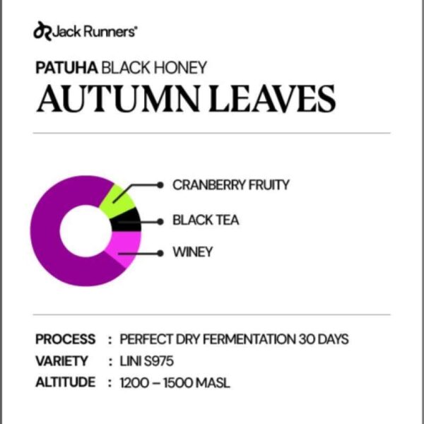brd-129695_coffee-drip-bag-filter-jack-runner-roastery-patuha-series-autumn-leaves_full03-85883783 Coffee Drip Bag Filter - Jack Runner Roastery Patuha Series Autumn Leaves